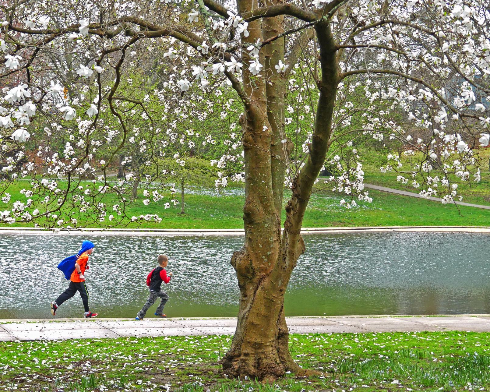 042119 WES Wilcox Park in Spring 341.JPG